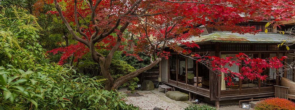 Kyoto Garden Ryokan Yachiyo An Honest Review Of Its Pros Cons